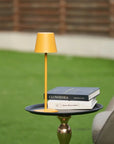 Dimmable Tall Table Lamp